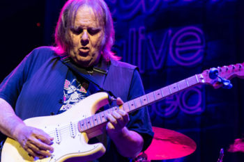 Walter Trout - The Kurland Agency